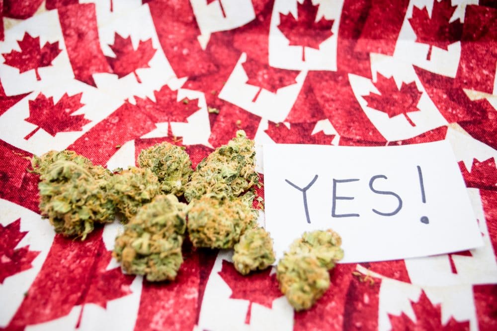 buy legal weed canada