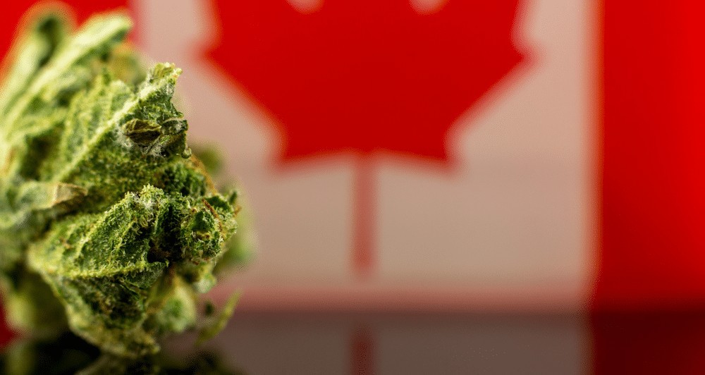 canada marijuana laws per province