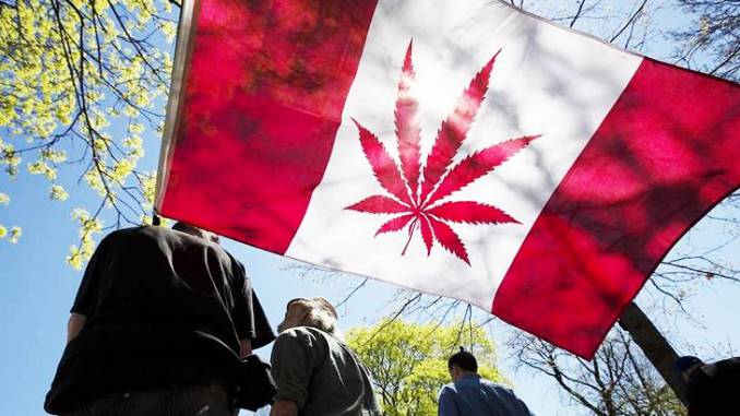 canada marijuana flag