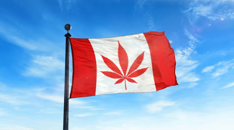 Best Canada Provinces Weed