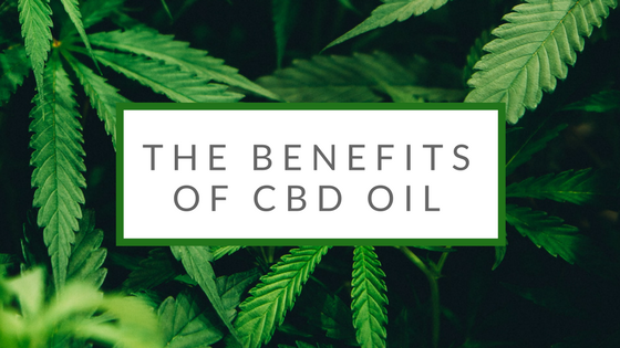 Benefits of CBD Oil