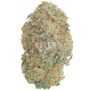 Buy Tropicali Strain Online Green Society