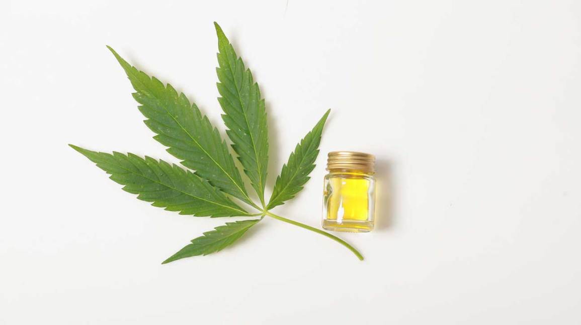 Buy CBD Oil in Canada at Green Society