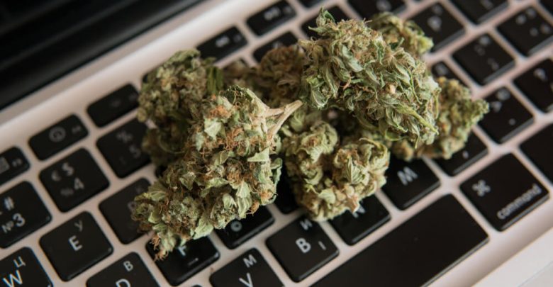 Buy Quality Weed Online at Green Society