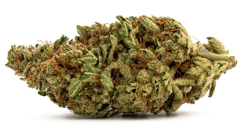 Violator Kush Strain Review