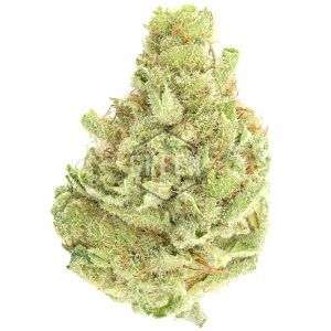 Buy Cinex Strain Online Green Society