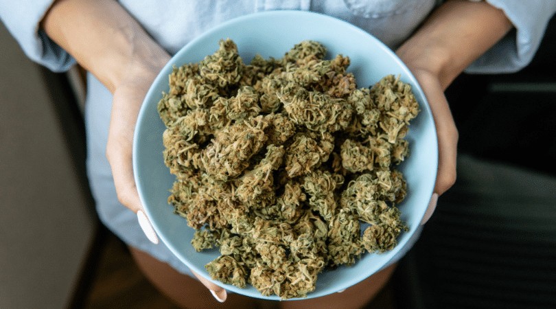 Marijuana Strains Beginners Guide