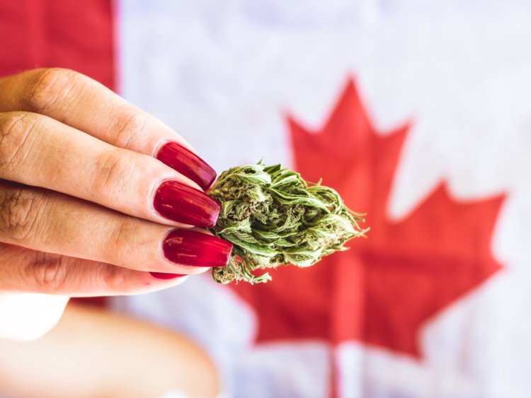 Marijuana Legalization Buy Weed Online in Canada at Green Society