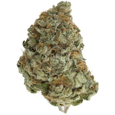 Buy G-13 Strain Online Green Society