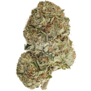 Buy Grease Monkey Strain Online Green Society