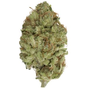 Violator Kush