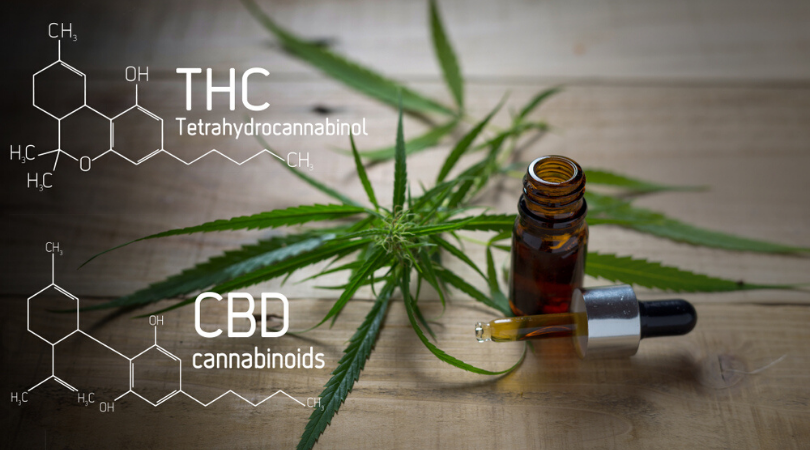 Why You Get High From THC But Not From CBD