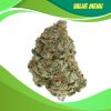 Buy G-13 Strain Online Canada Green Society