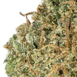 Buy Lemon Haze Online Canada Green Society