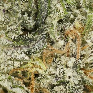 Buy Apollo 11 Strain Online Canada Green Society