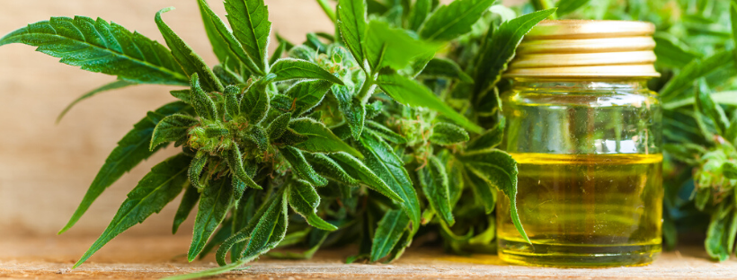 What Exactly Is CBD Oil