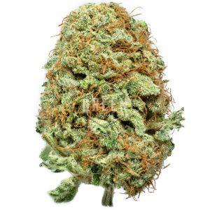 Buy Chocolate Thai Strain Online Canada Green Society