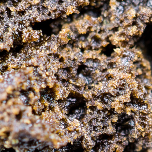 Buy Concentrates Online Canada Green Society