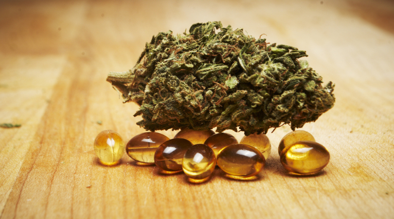 How to Make Cannabis Capsules with CBD or Whole Plant Extract