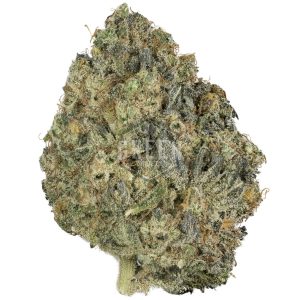 Buy Northern Lights x Big Bud Online Green Society