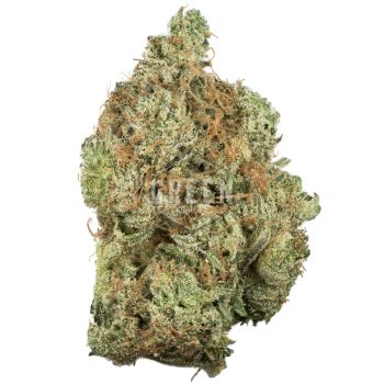 Buy Platinum Cookies Online Green Society