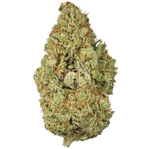 Buy Hash Plant Haze Online Green Society