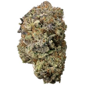 Buy Pine Tar Kush Online Green Society