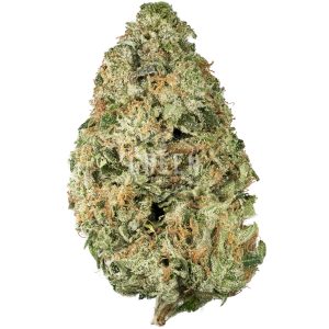 Buy Star Killer Online Green Society