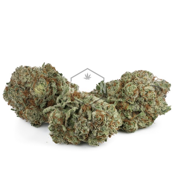 Buy Kush Mints Online Green Society