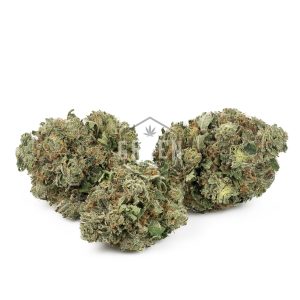 Buy White Rhino Strain Online Green Society