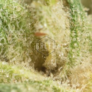 Buy White Rhino Strain Online Green Society