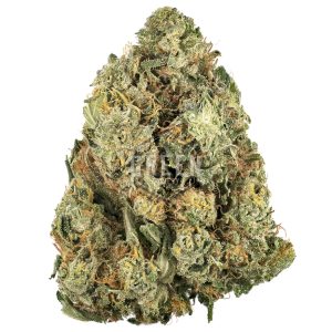 Buy White Rhino Strain Online Green Society