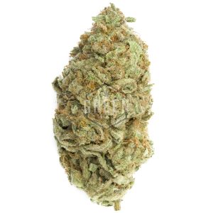 Buy Zombie OG Strain Online Green Society