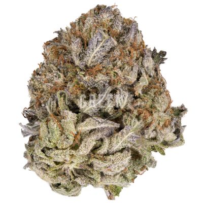 Buy Purple Kush Online Green Society