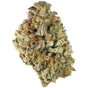 Buy WiFi Cake Strain Online Green Society