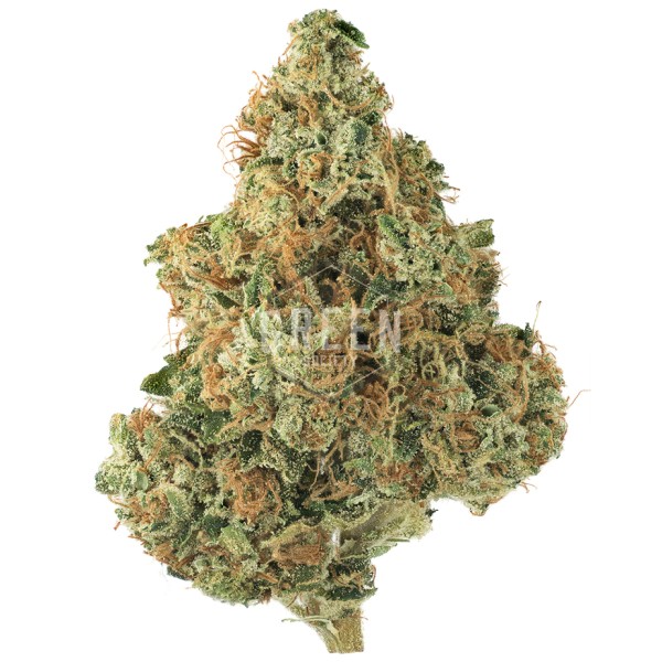 Buy Gasoline Zest #5 Online Green Society