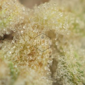 Buy Honey Badger Haze Online Green Society