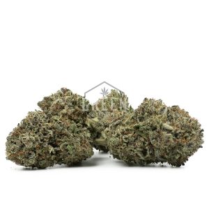 Buy Kosher Kush Online Green Society