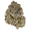 Buy Blue Crush Strain Online Green Society