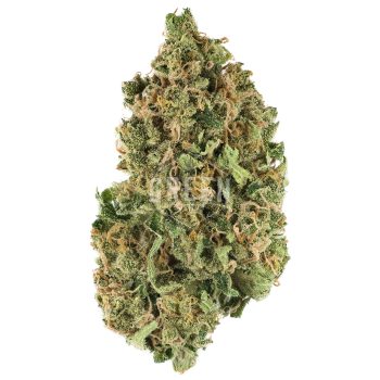 Buy Citrique Strain Online Green Society