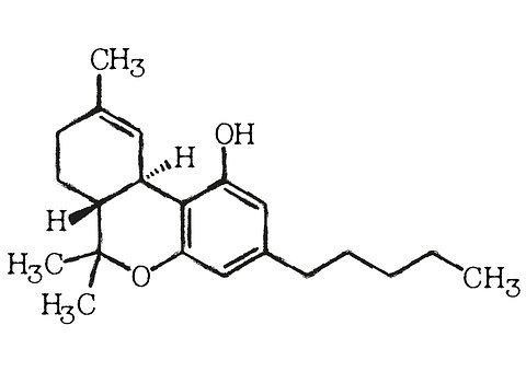 Effects Of Marijuana And Chemical Makeup