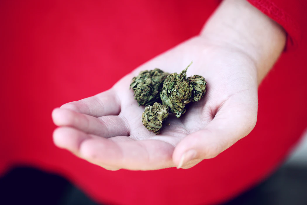 Things You Need To Know Before You Buy Weed Online