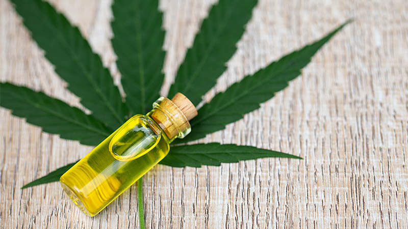 Understanding Cbd Oil & Popular Products