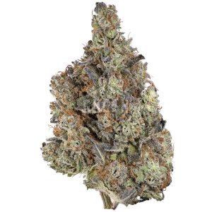 Buy Blackberry Diesel Strain Online Green Society
