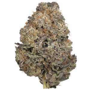 Buy Medi Kush Online Green Society