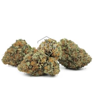 Buy Agent Orange Strain Online Green Society