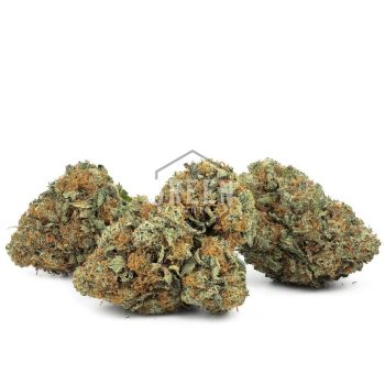 Buy Agent Orange Strain Online Green Society