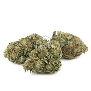 Buy Budget Kush Online Green Society