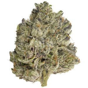 Buy Jack Frost Strain Online Green Society