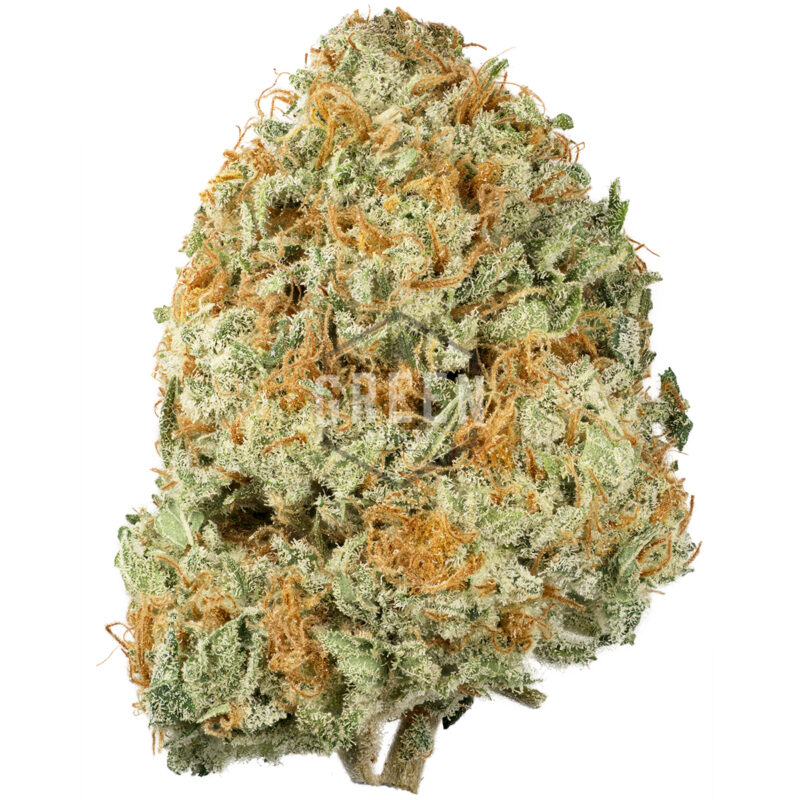 Buy Crunch Berries Strain Online Green Society